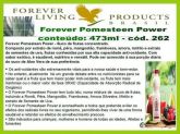 POMESTEEN POWER