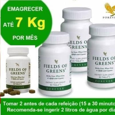 FILDS OF GREENS